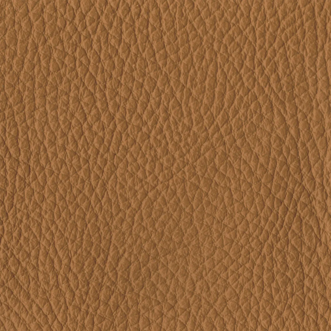 E015 Embrace Lounge Chair