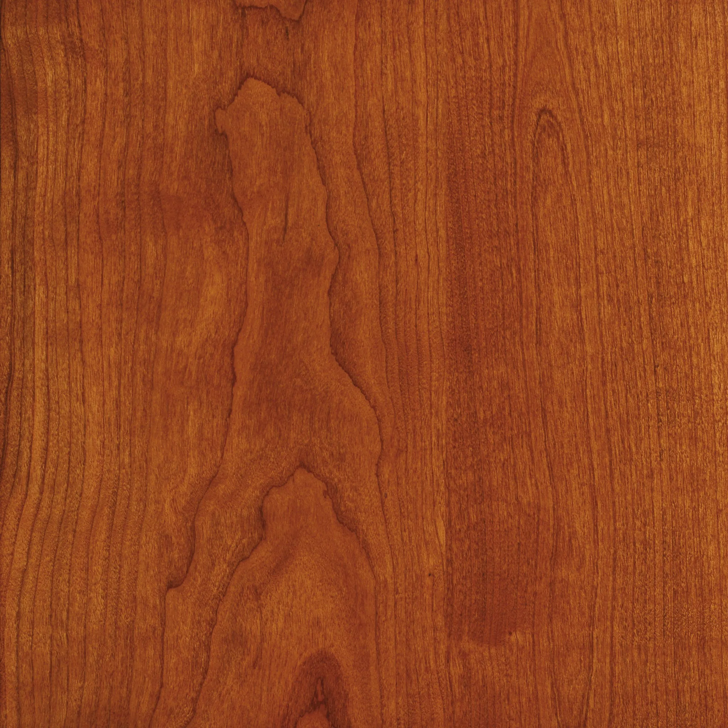 Entwine Round Dining Table