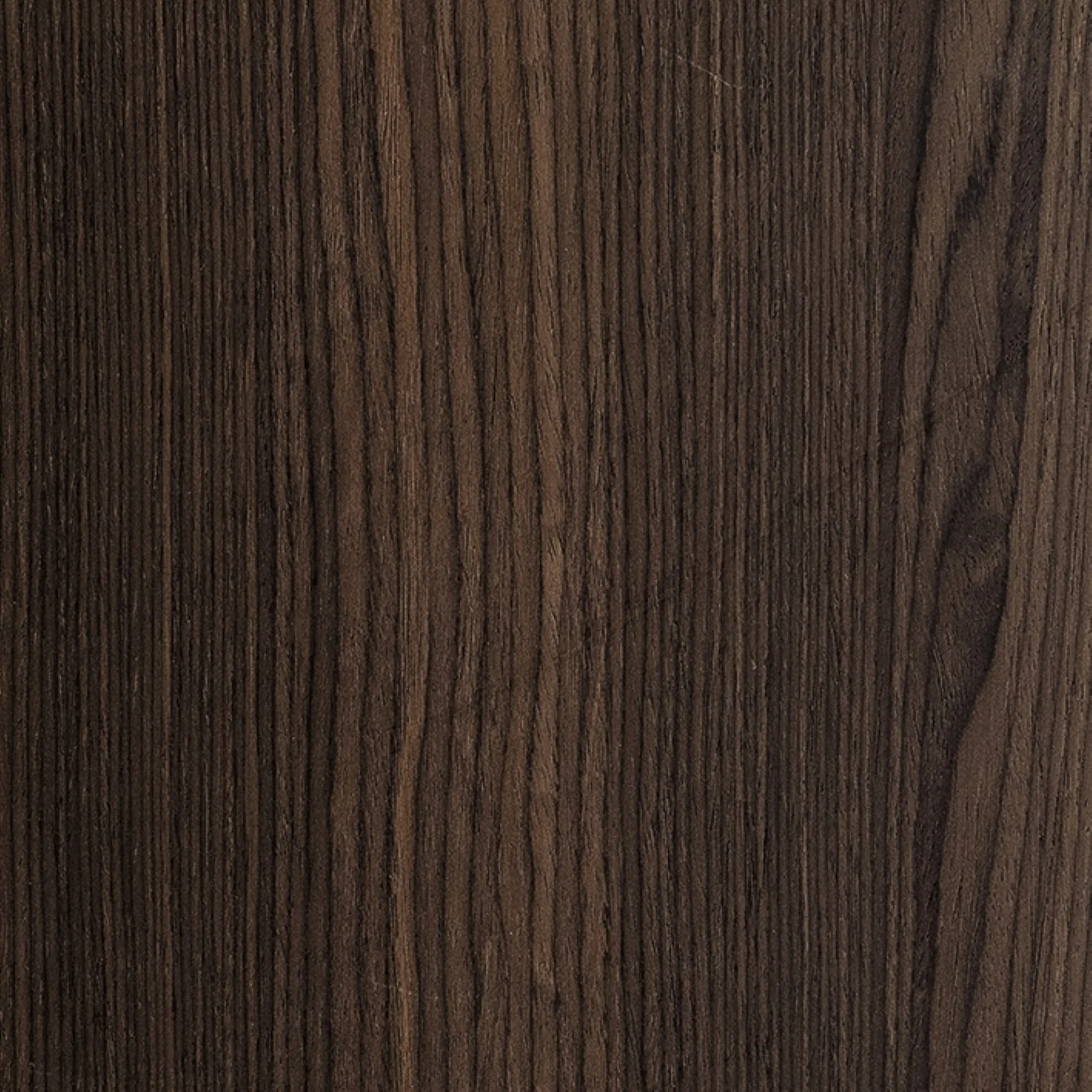 Horizon 4 Door Cabinet